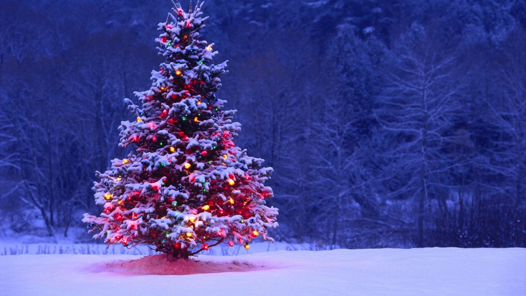 69 Stunning Christmas Decoration Ideas 49 christmas decoration 2016 (47)