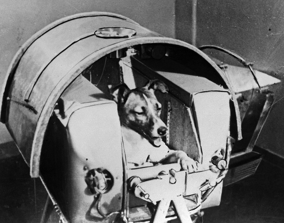 v35143_Russian-space-dog-Laika-on-board-Sputnik-2