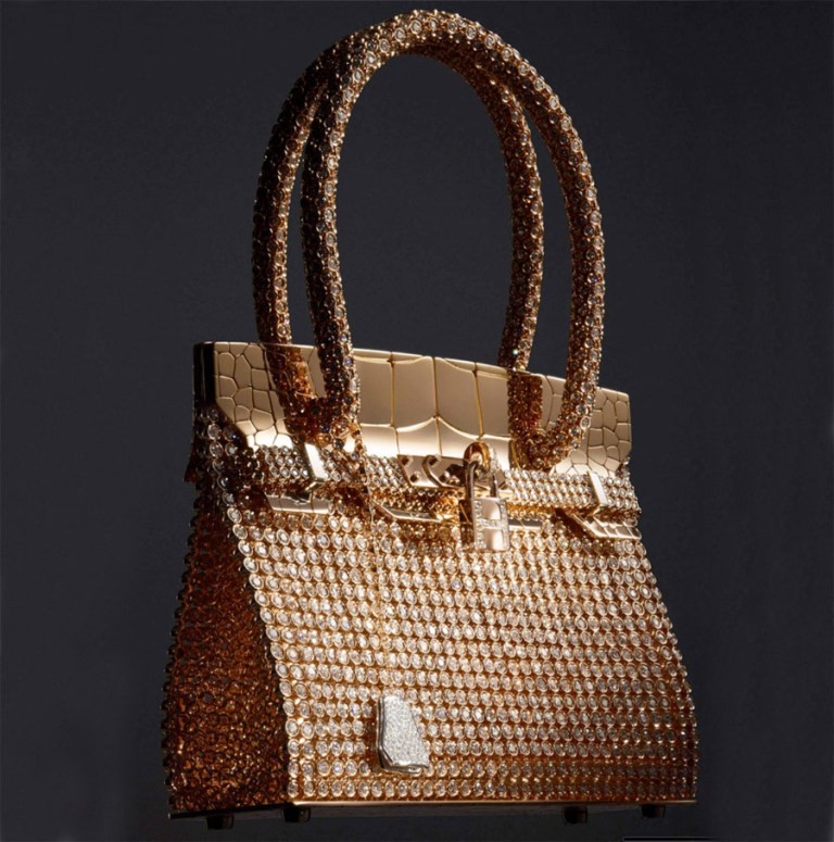 elegant handbag (5)