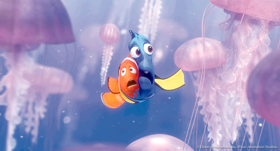 jellyfish