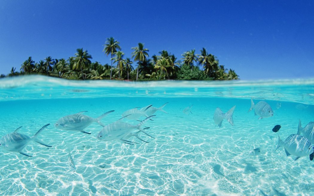 1 5 Most Beautiful Beaches in The World