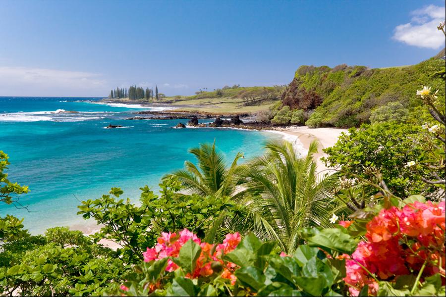 Hamoa-Beach-Maui-Hawai1 5 Most Beautiful Beaches in The World
