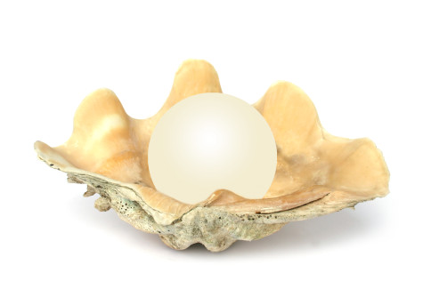 Shell with Orb
