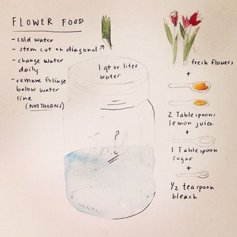 7 Tricks to Make Flowers Last forever