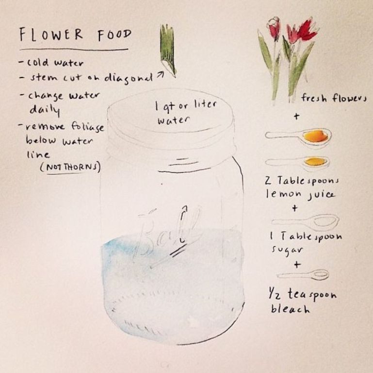 feed flowers (1)