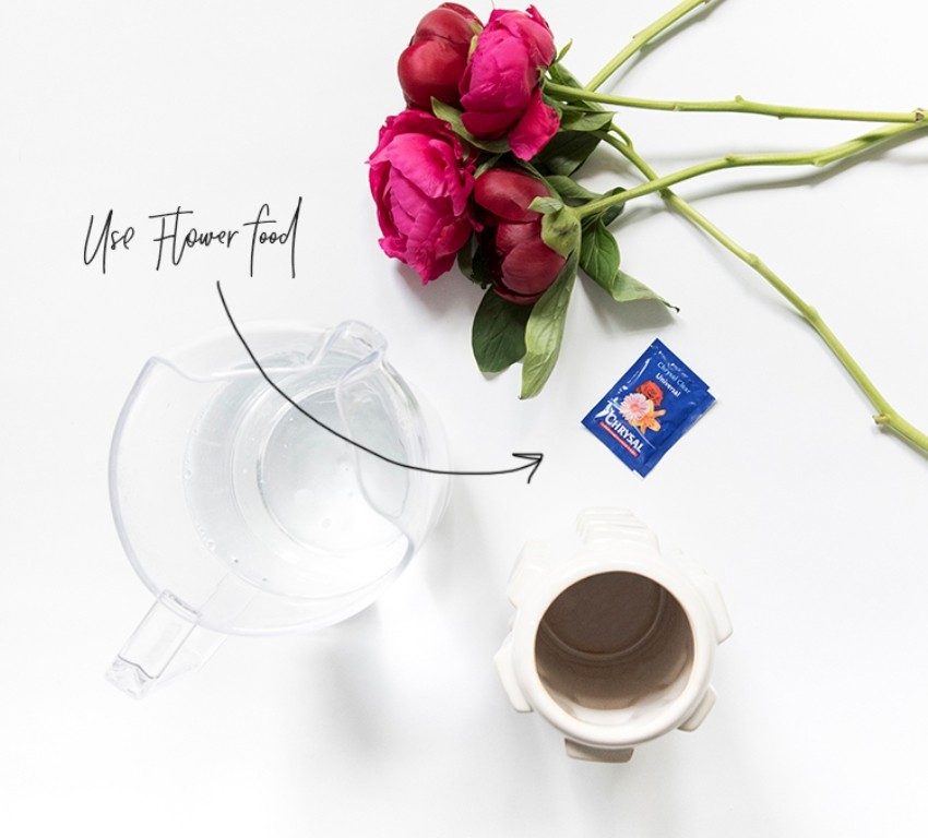 7 Tricks to Make Flowers Last forever ... 32 feed flowers