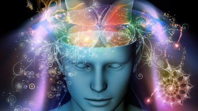 5 Best Mentalism & Mind Reading Learning Courses 214 Mentalism and mind reading 5 Best Mentalism & Mind Reading Learning Courses - 8