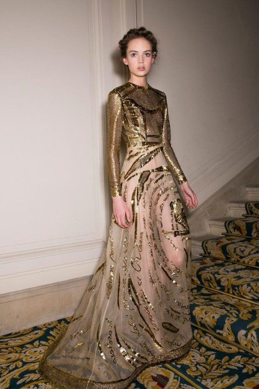 embroidered transparent gowns (1)