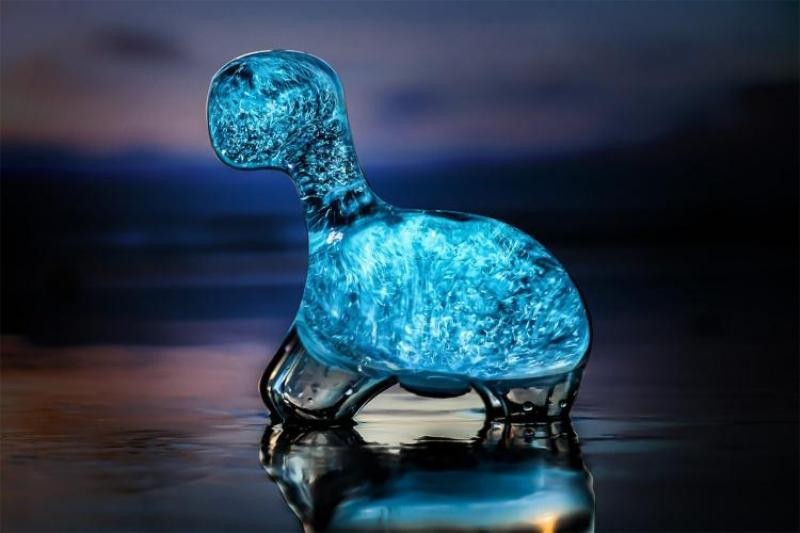 Bioluminescent-Aquarium-that-glows-at-night 39+ Most Stunning Christmas Gifts for Teens 2020