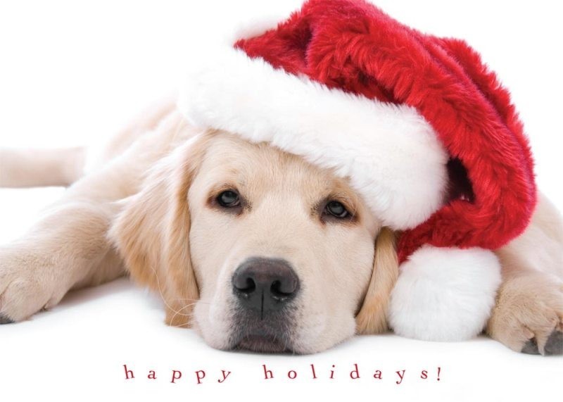75+ Most Fascinating Christmas Greeting Cards 55 christmas-greeting-cards-2017-55