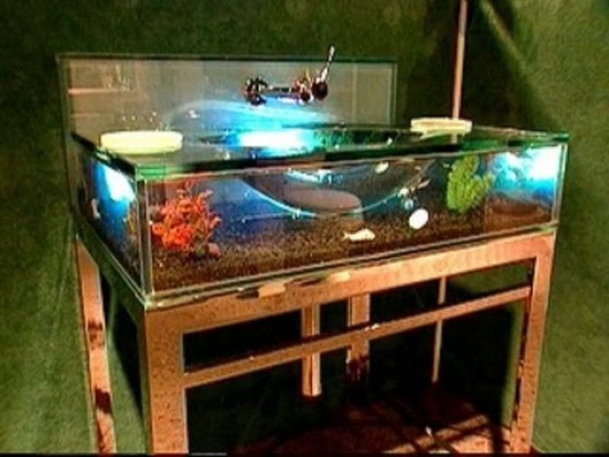 Top 10 Modern Bathroom Sink Design Ideas 19 aquarium bathroom sink2 Top 10 Modern Bathroom Sink Design Ideas - 19