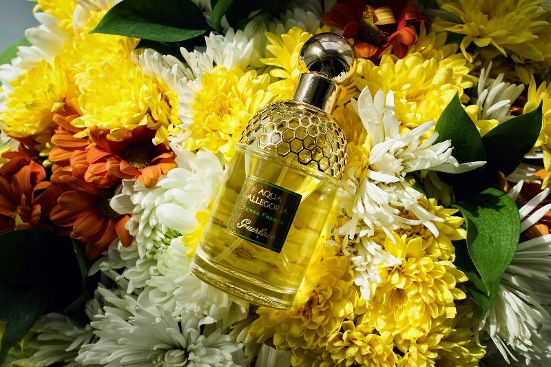 Aqua-Allegoria-Herba-Fresca-Guerlain-for-women-and-men +54 Best Perfumes for Spring & Summer