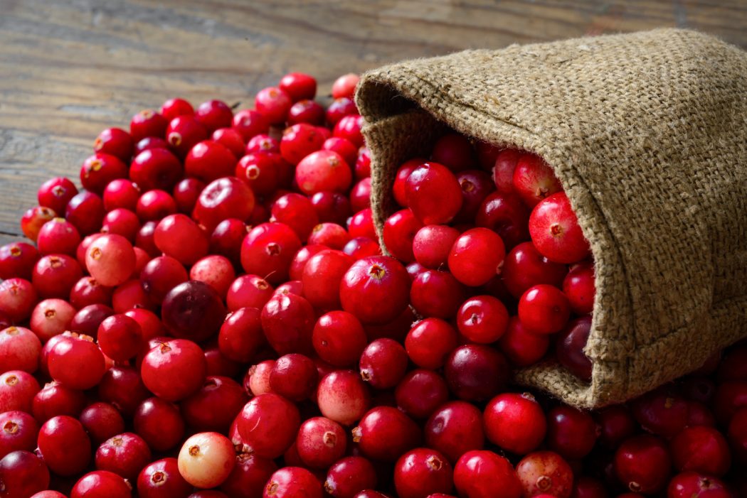 Cranberry1 6 Main Healing Products That Are Effective - 6