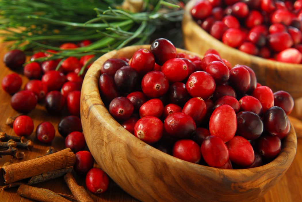 Cranberry2 6 Main Healing Products That Are Effective - 7