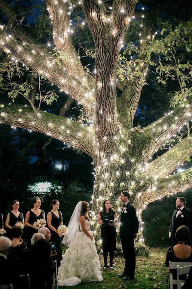 Illuminating Trees1 10 Hottest Outdoor Wedding Ideas - 22