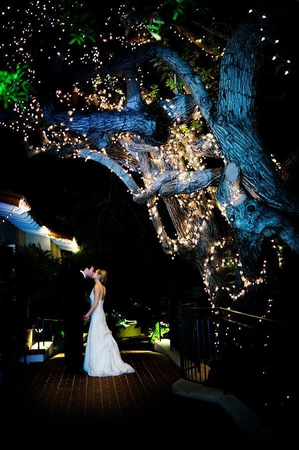 Illuminating Trees4 10 Hottest Outdoor Wedding Ideas - 25