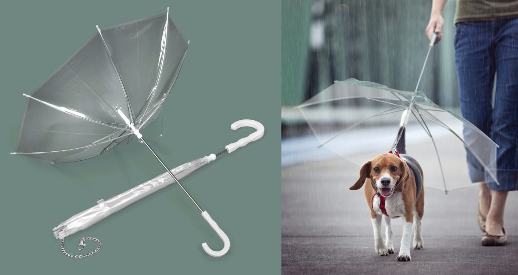 Pets Umbrella2 15 Unusual Umbrellas Design Ideas - 19