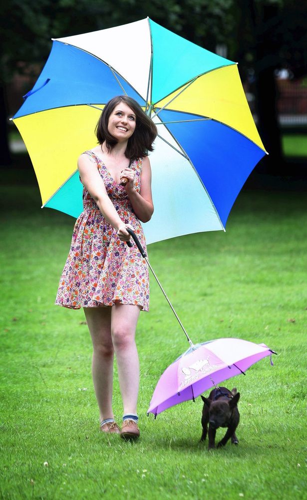 Pets Umbrella3 15 Unusual Umbrellas Design Ideas - 21