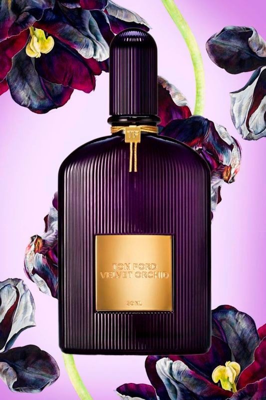 Top 36 Best Perfumes for Fall & Winter 2017 – Pouted Online Lifestyle ...