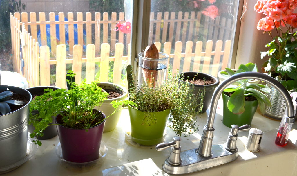 fresh plants1 5 Latest Kitchens’ Decorations Ideas - 2