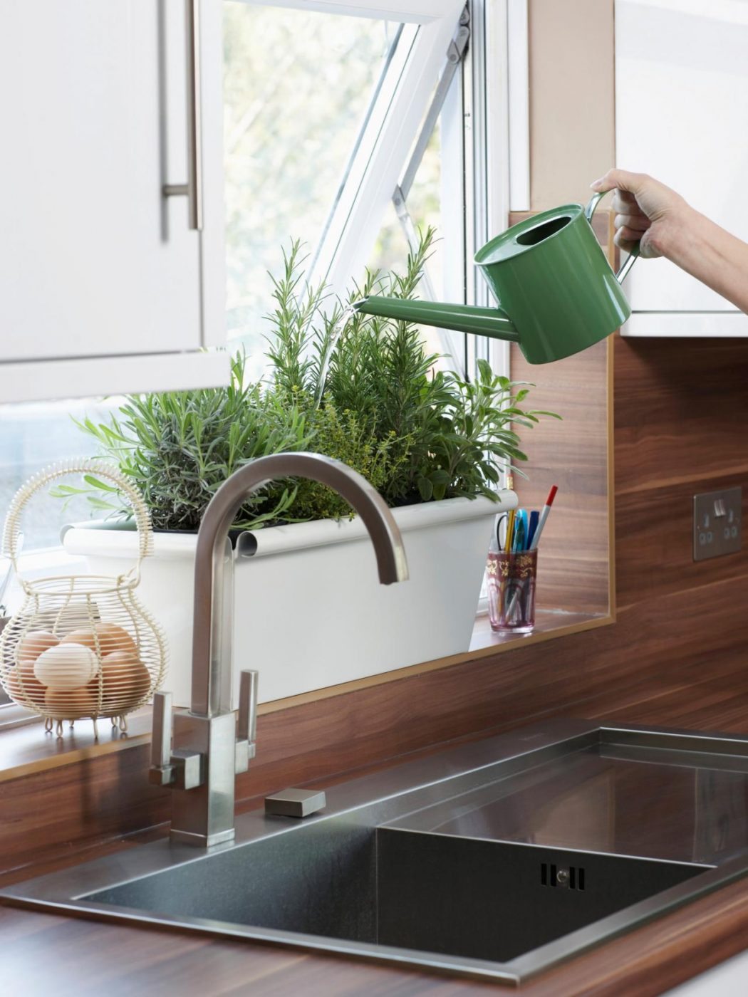 fresh plants2 5 Latest Kitchens’ Decorations Ideas - 3