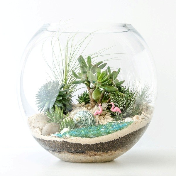 terrarium 1 15 Newest Home Decoration Trends You Have to Know - 163 home decoration trends