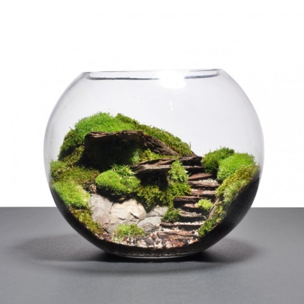 terrarium 2 15 Newest Home Decoration Trends You Have to Know - 164 home decoration trends