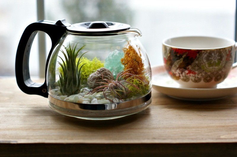 terrarium 3 15 Newest Home Decoration Trends You Have to Know - 165 home decoration trends