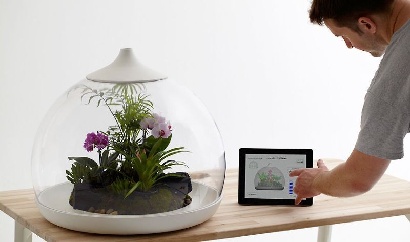 terrarium 4 15 Newest Home Decoration Trends You Have to Know - 166 home decoration trends