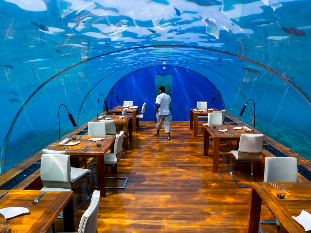 Ithaa Underwater Restaurant in Maldives2 10 Most Unusual Restaurants in The World - 25