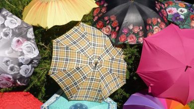 15 Unusual Umbrellas Design Ideas 7 Umbrella Bush 15 Unusual Umbrellas Design Ideas - 7