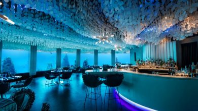 10 Most Unusual Restaurants in The World 167 maldives0615 underwater 10 Most Unusual Restaurants in The World - 167