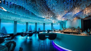 maldives0615 underwater 10 Most Unusual Restaurants in The World - 52