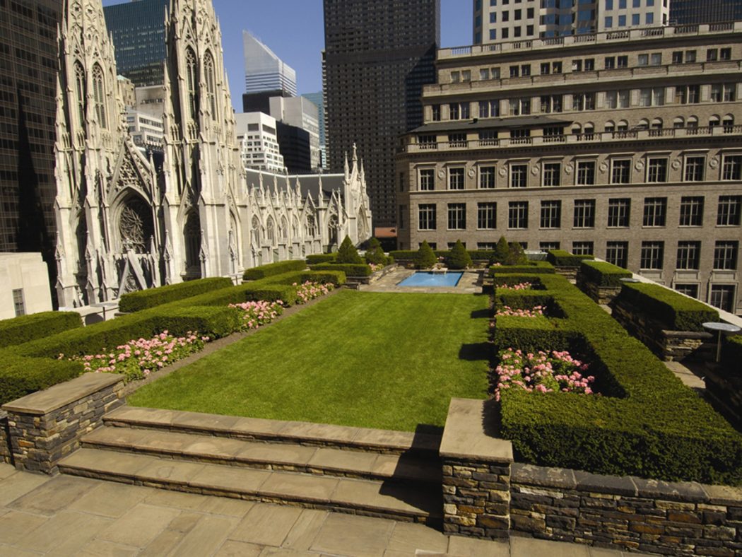 7 Main Facts About New York City You’ve Never Known 27 620LoftGarden 01.760d956b4afe 7 Main Facts About New York City You’ve Never Known - 27
