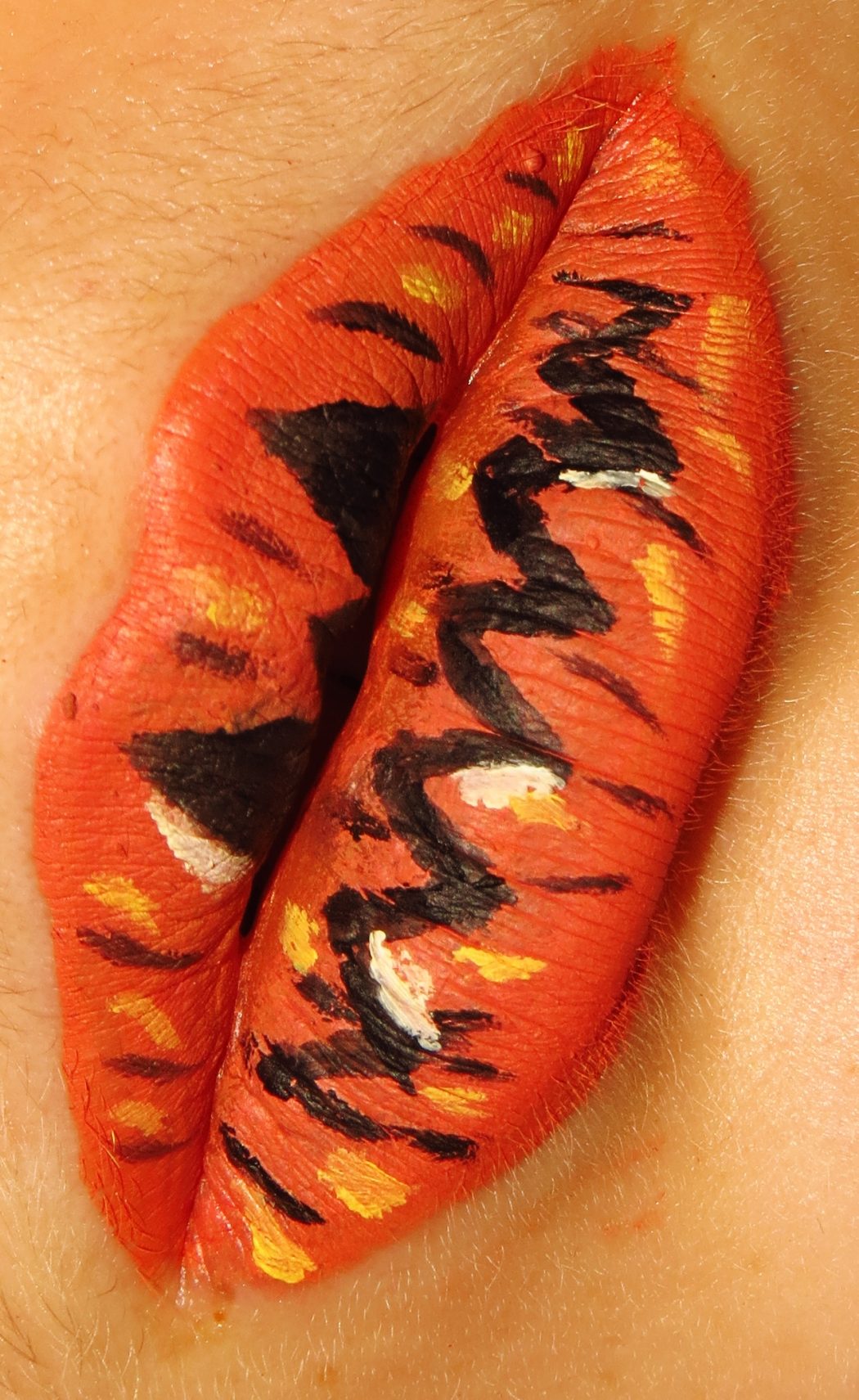 15 Creative Lip Makeup Art Trends 62 img 1644 15 Creative Lip Makeup Art Trends - 62