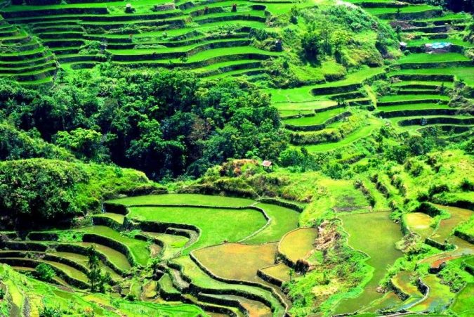 Top 10 Most Attractive Places you Should Visit in Philippines 2 Banaue Rice Terraces Ifugao Top 10 Most Attractive Places you Should Visit in Philippines - 2
