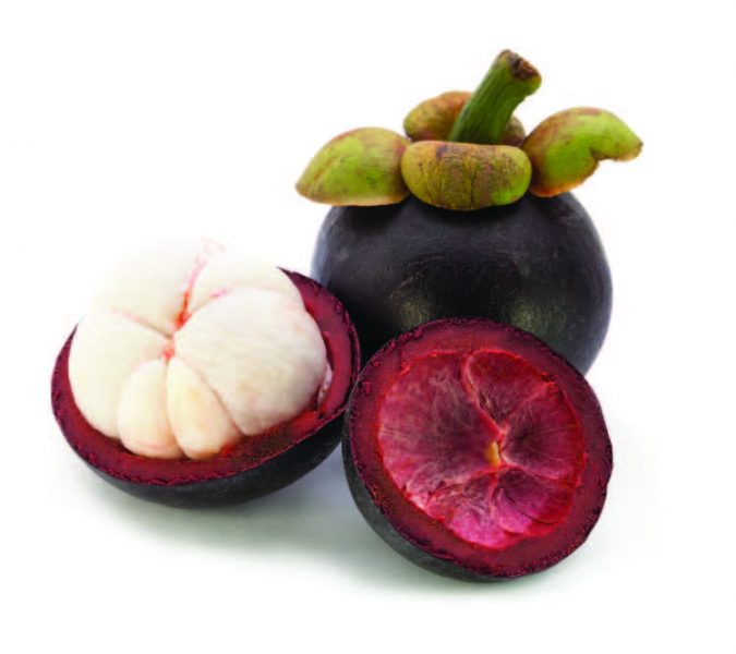 Red garcinia cambogia Weight Loss with the Help of Healthy Life & Garcinia Cambogia - 3