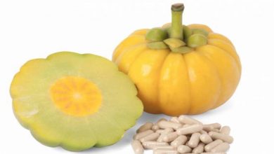 garcinia cover Weight Loss with the Help of Healthy Life & Garcinia Cambogia - 132