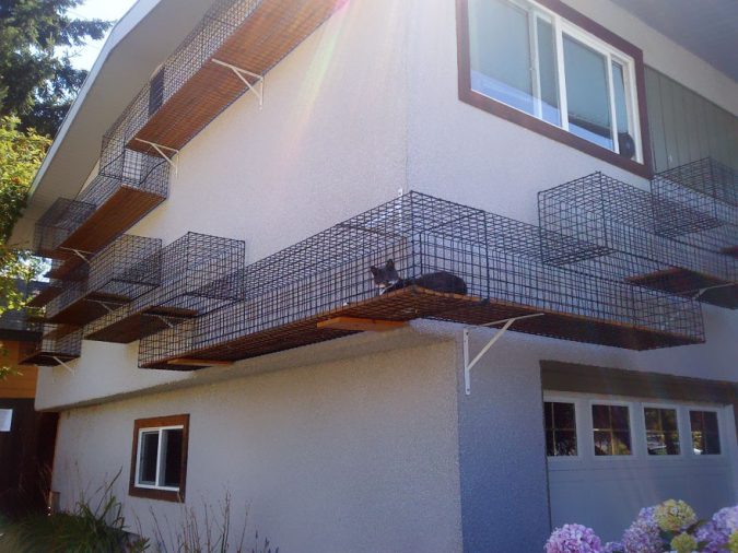 15+ Cat Furniture Pieces for Cat Lovers 11 Outdoor Catwalk 15+ Cat Furniture Pieces for Cat Lovers - 11 Cat Furniture Pieces
