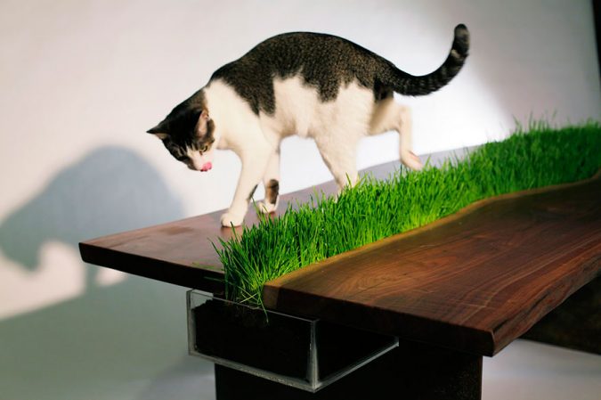 cat-furniture-Grass-Table-675x449 15+ Cat Furniture Pieces for Cat Lovers in 2022