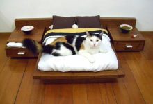 cat furniture mini bedroom 15+ Cat Furniture Pieces for Cat Lovers - 10 Pouted Lifestyle Magazine