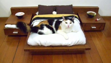 15+ Cat Furniture Pieces for Cat Lovers 16 cat furniture mini bedroom 15+ Cat Furniture Pieces for Cat Lovers - 16