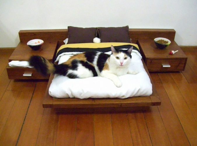 cat-furniture-mini-bedroom-675x503 15+ Cat Furniture Pieces for Cat Lovers in 2022