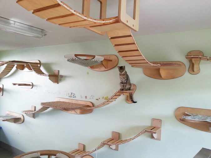 overhead-cat-playground-room-goldtatze-1-675x506 15+ Cat Furniture Pieces for Cat Lovers in 2022