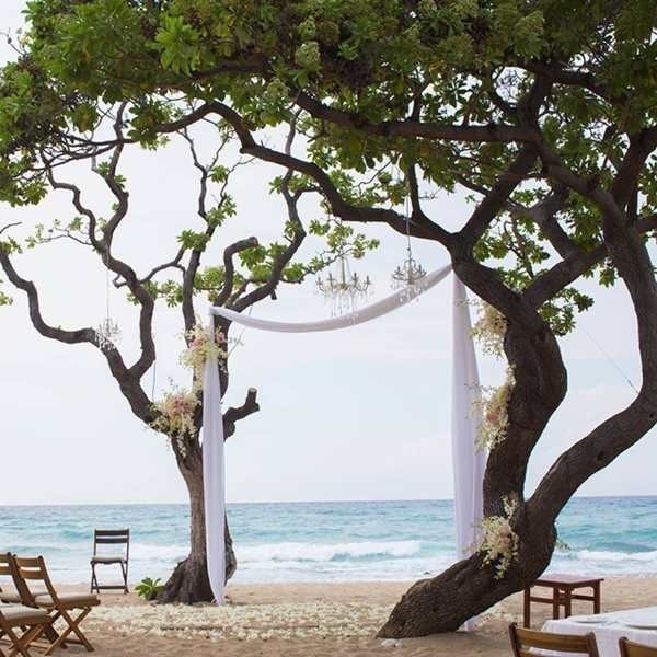 using trees for decoration 13 82+ Awesome Outdoor Wedding Decoration Ideas - 90