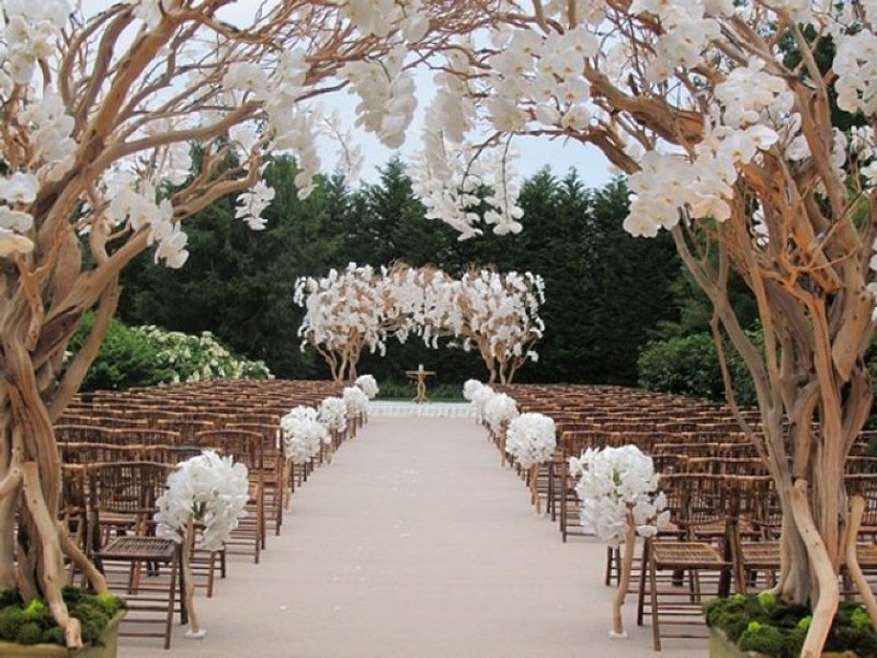 using trees for decoration 20 82+ Awesome Outdoor Wedding Decoration Ideas - 97