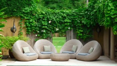3129496024 1 2 AUJSzsce Trending: 15 Garden Designs to Watch for - 3 Fastest Growing Trees