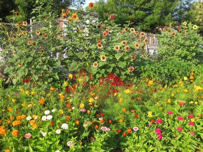 natural dye garden Trending: 15 Garden Designs to Watch for - 23
