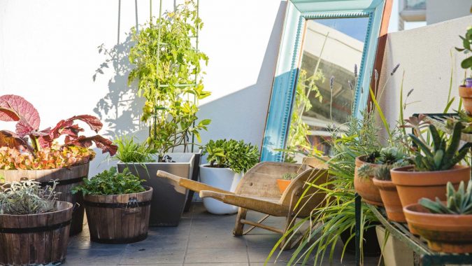 rooftop garden Statement Plants Trending: 15 Garden Designs to Watch for - 17