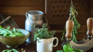 Great Ways to Make Your Dream Green Kitchen 1 green kitchen